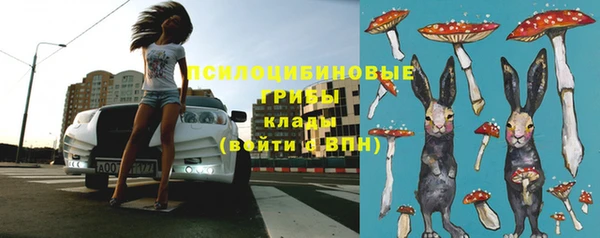 не бодяженный Алексин